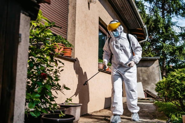 Wasp Removal Services in Hiller, PA