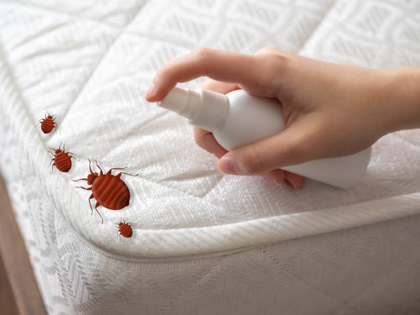 Best Pest Inspection Near Me  in Hiller, PA