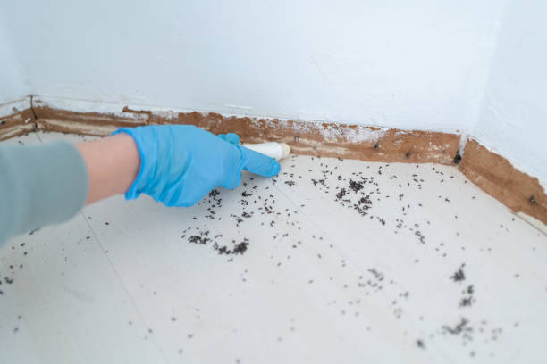 Best Cockroach Control Services  in Hiller, PA