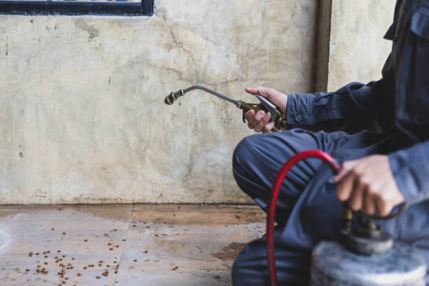 Best Termite Control Services  in Hiller, PA